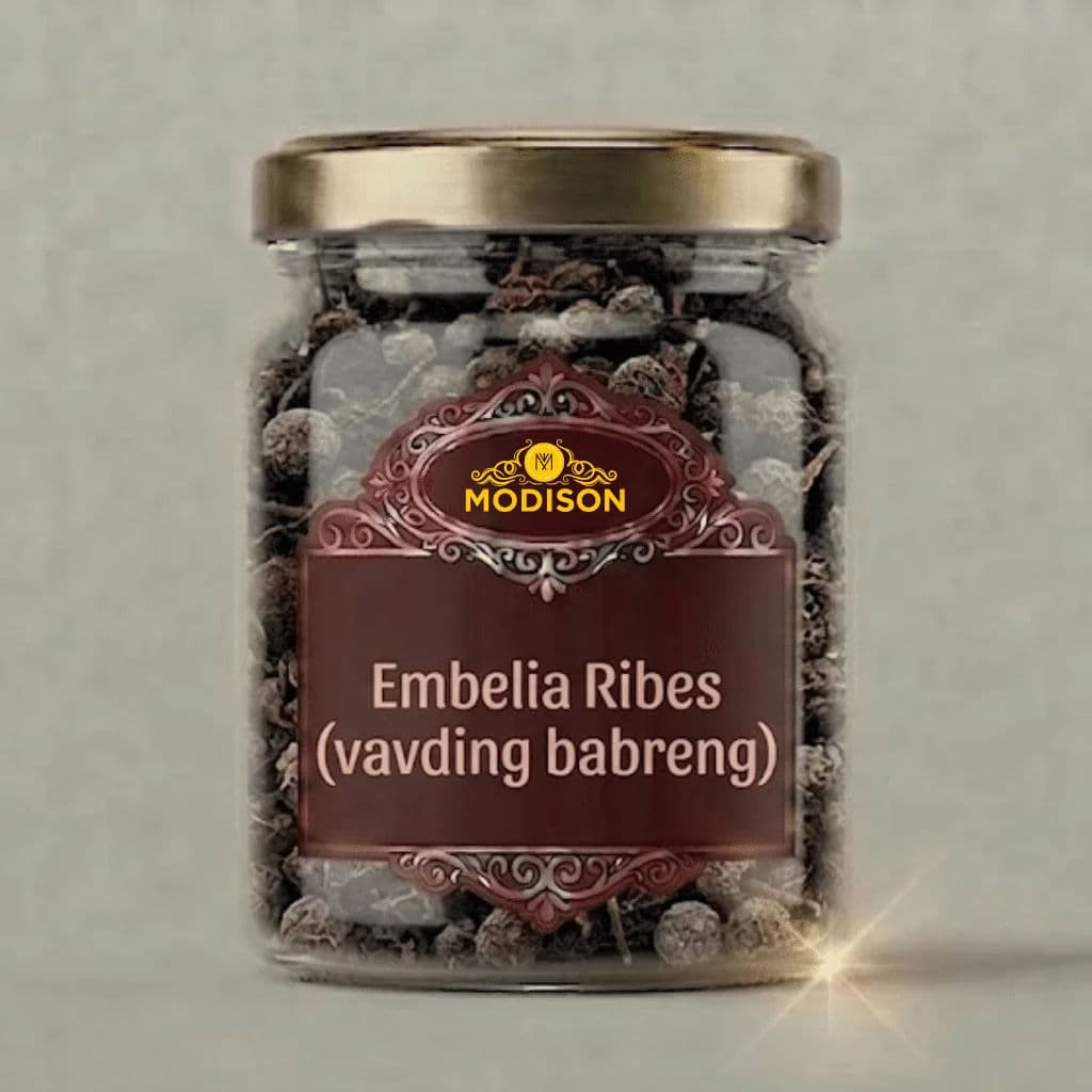 Modison Embelia Ribes (vavding babreng) by Modison