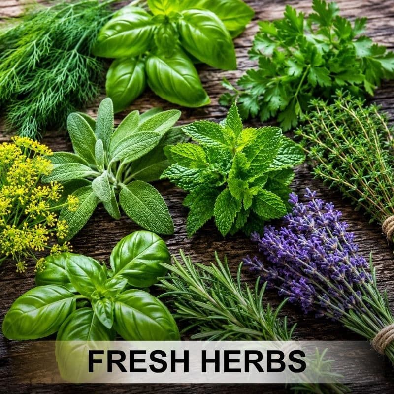 Fresh Herbs products