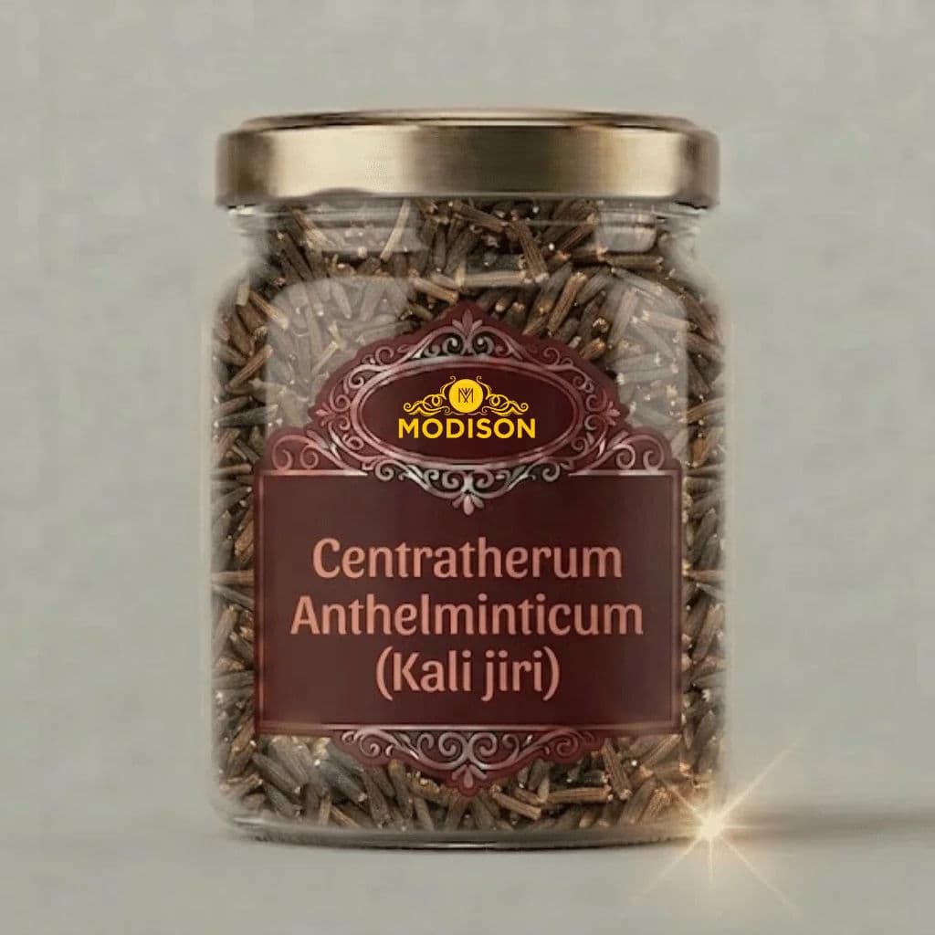Modison Centratherum Anthelminticum (Kali jiri) by Modison, view 2