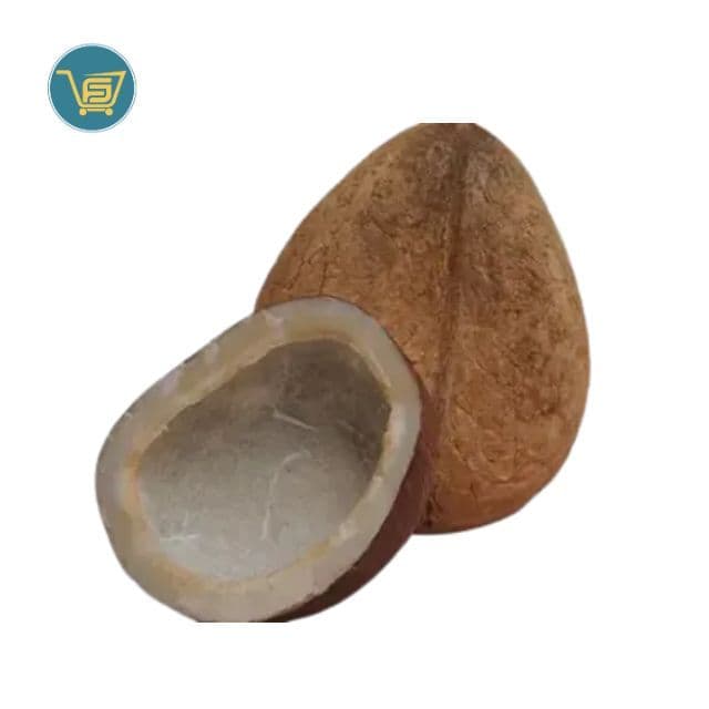 Dry Whole Coconut by Fruits