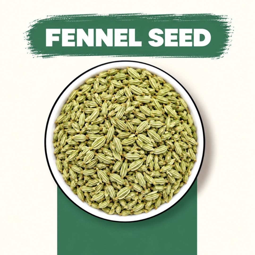 MODISON Fennel Seed Saunf Indian Mouth Freshener Sweet 100g