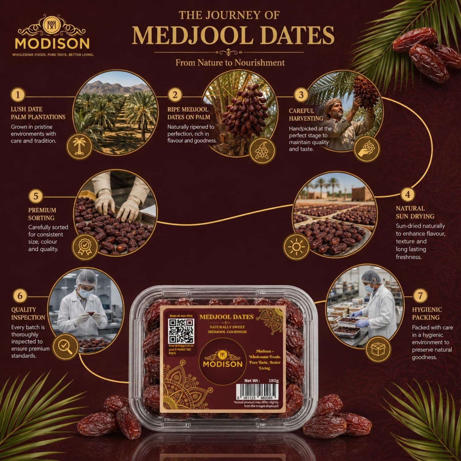MODISON Medjool Dates Indian Dry Fruit Jumbo Khajoor Natural 180g by Modison, view 4