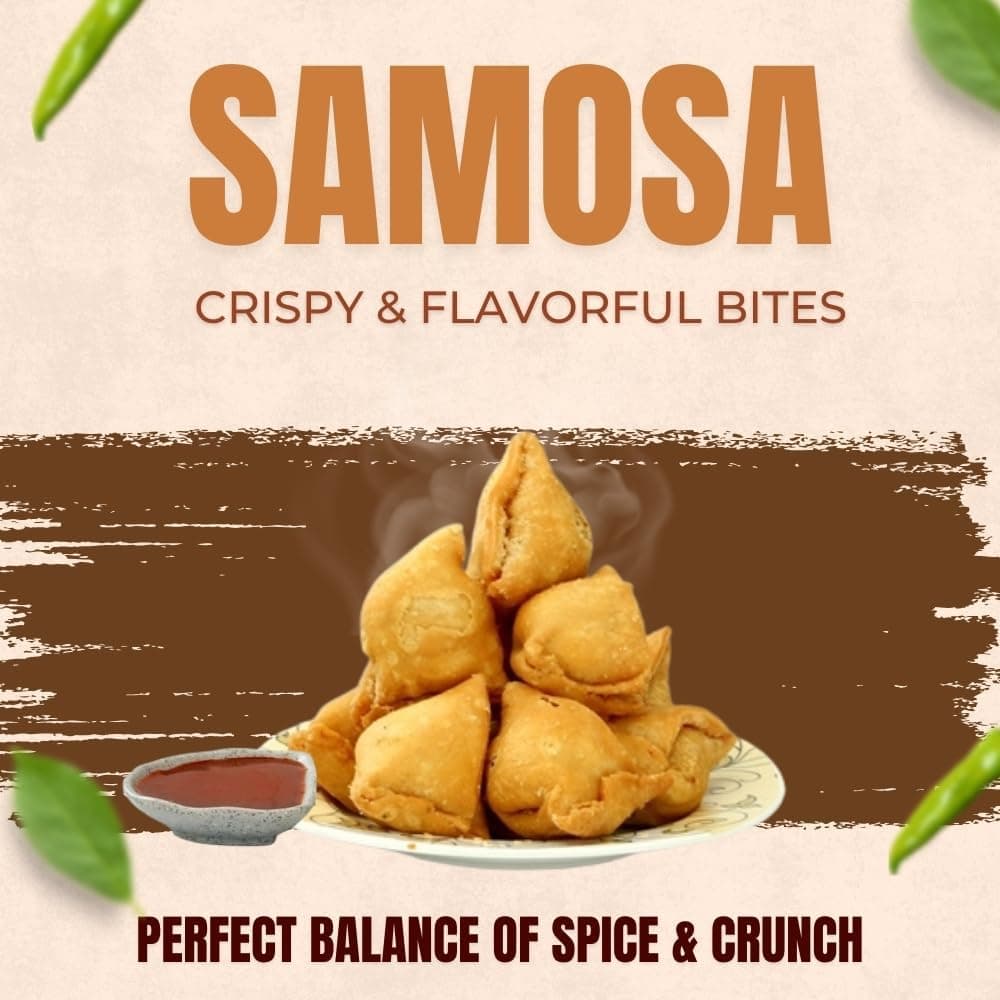 MODISON SP Samosa Indian Snacks Chatpata Spicy 180g by Modison, view 7