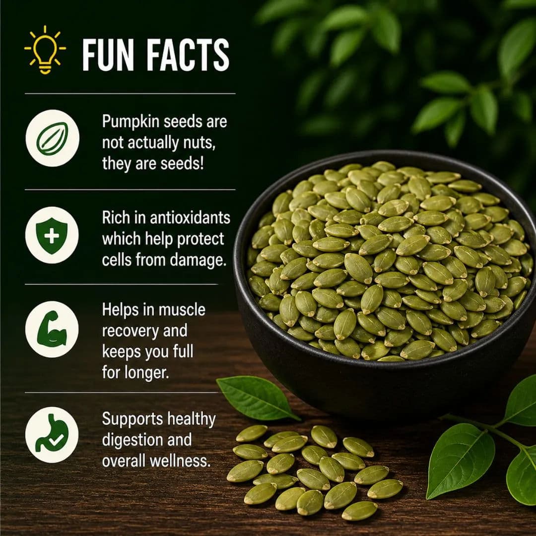 Pumpkin Seeds by Modison, view 2